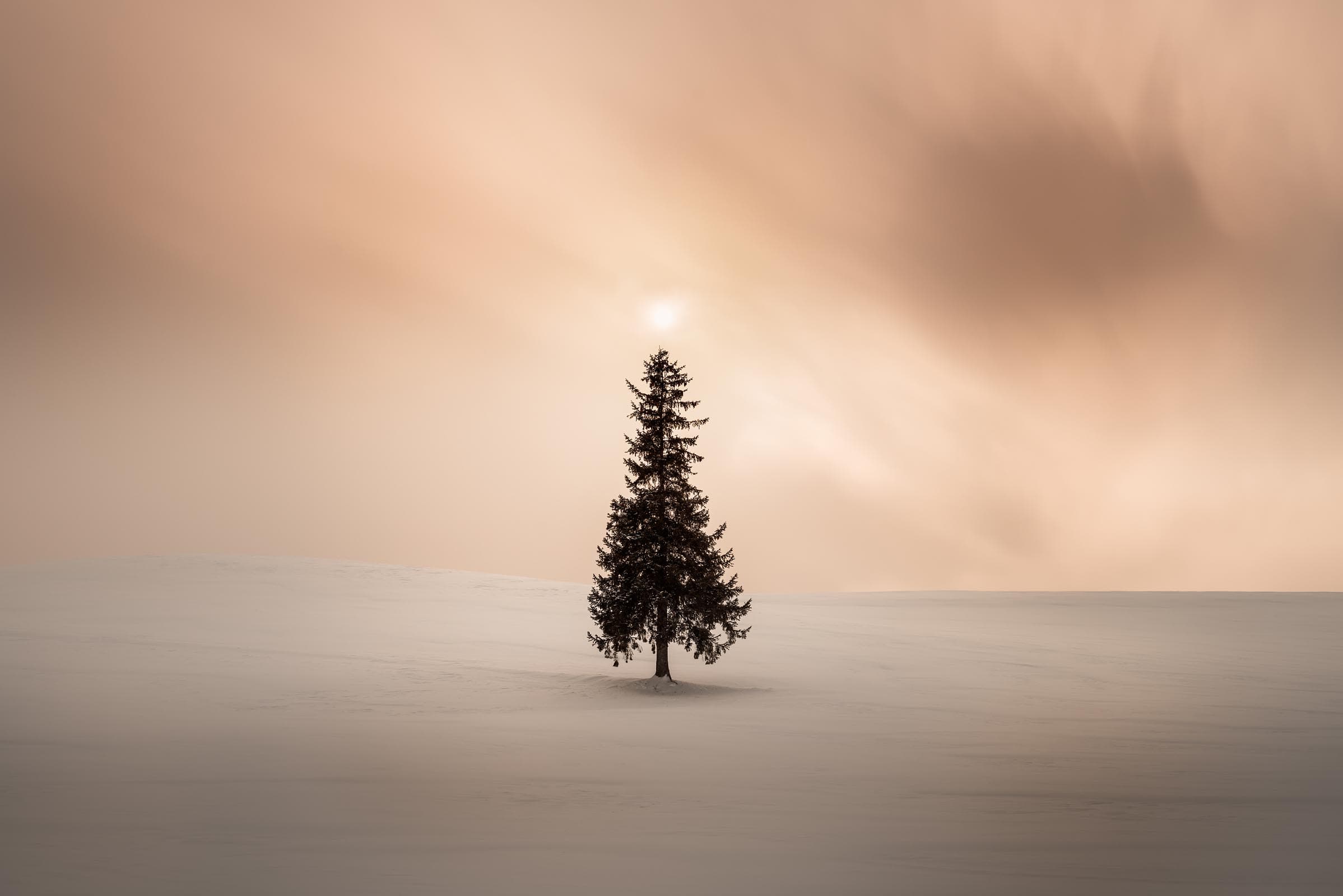 Japan Winter
