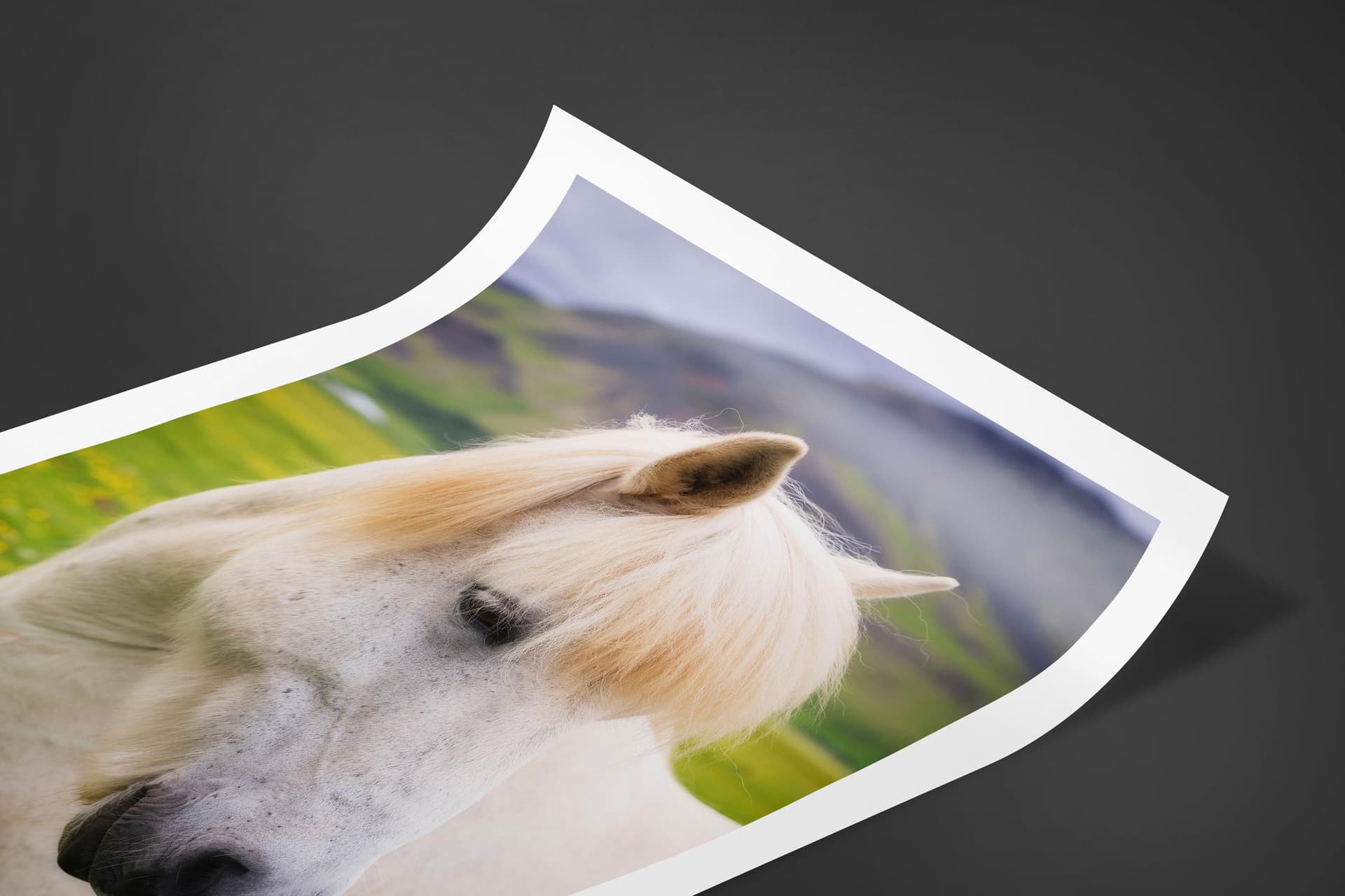 Fine art limited edition print of Horse in Ring Road, Iceland by Brent Goldman Photography