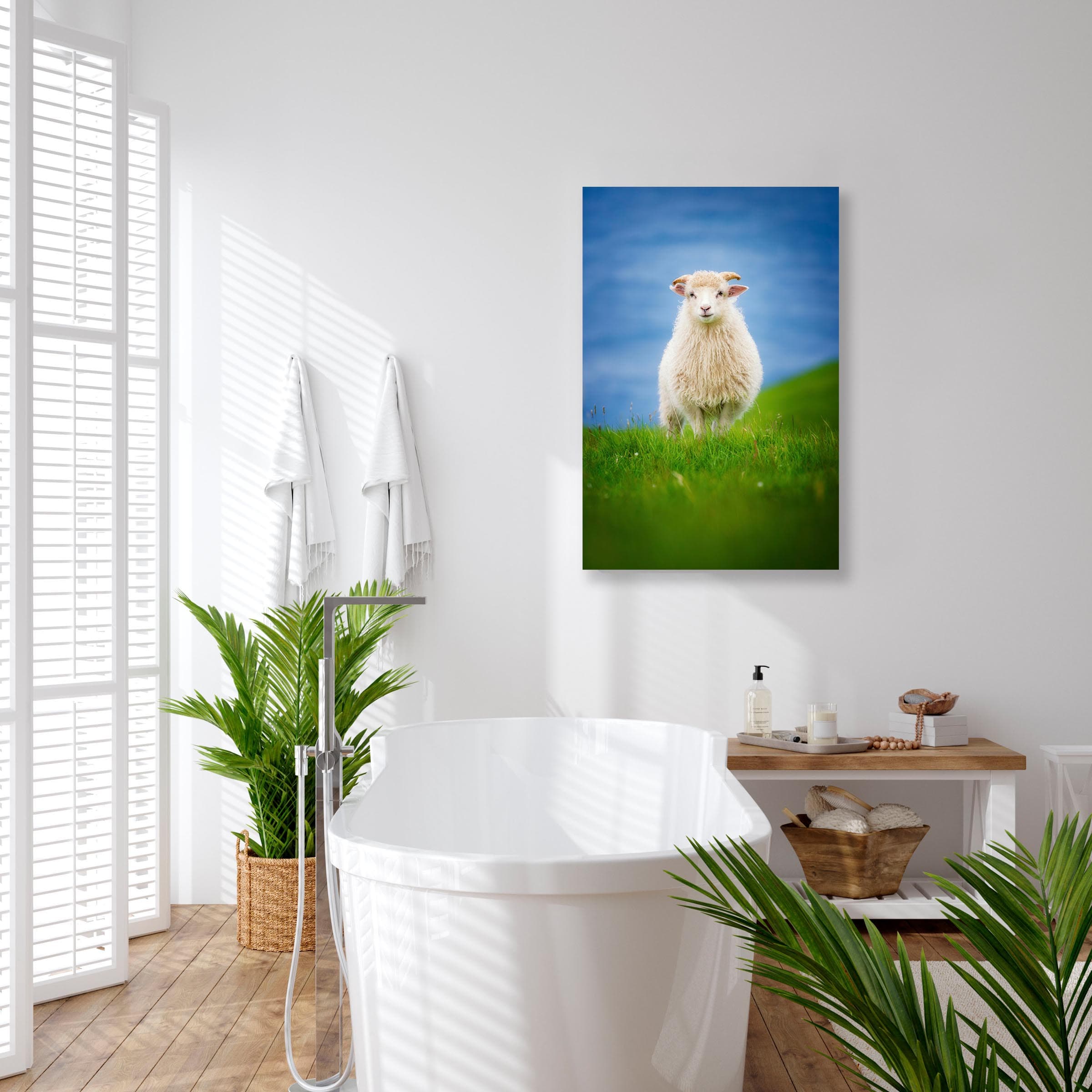 Wall art of Sheep in Kalsoy, Faroe Islands by Brent Goldman Photography