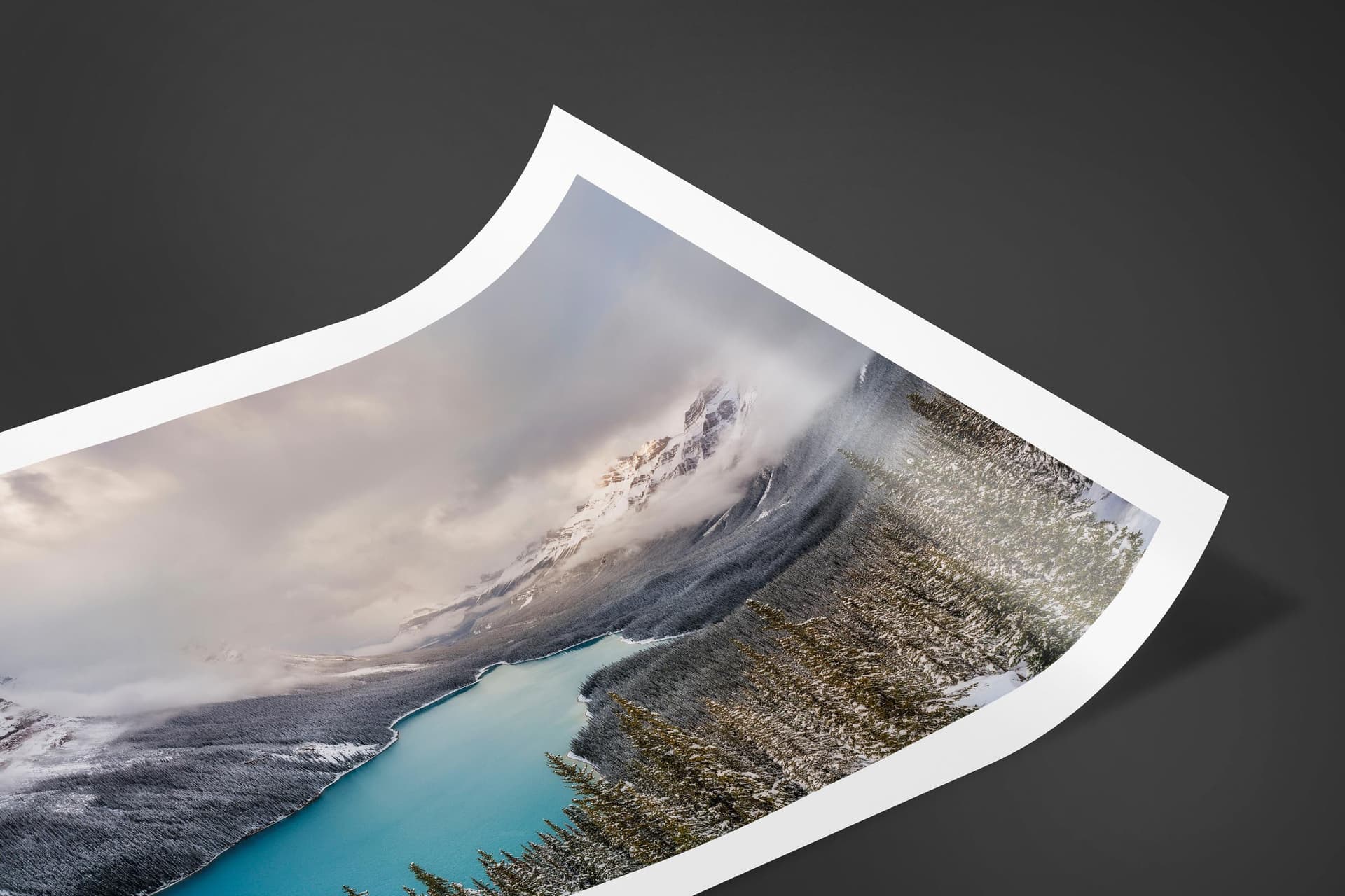Fine art limited edition print of Peyto Lake in Banff, Canada by Brent Goldman Photography