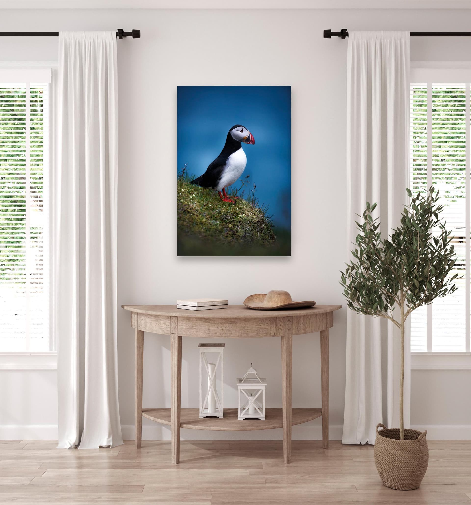 Wall art of Puffin in Vik, Iceland by Brent Goldman Photography