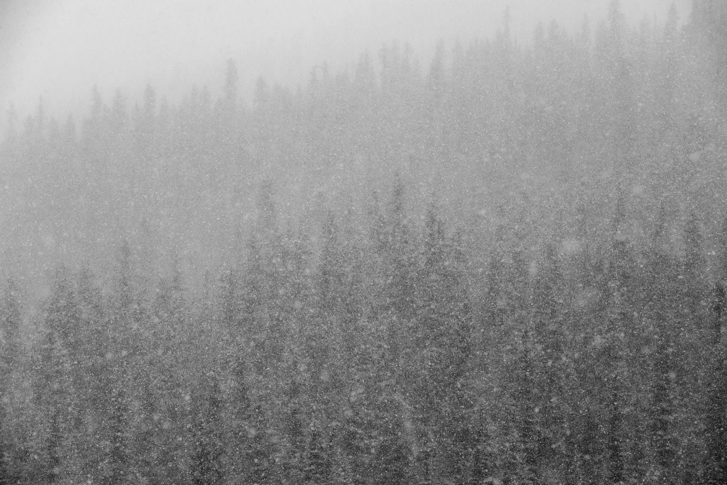Enveloped