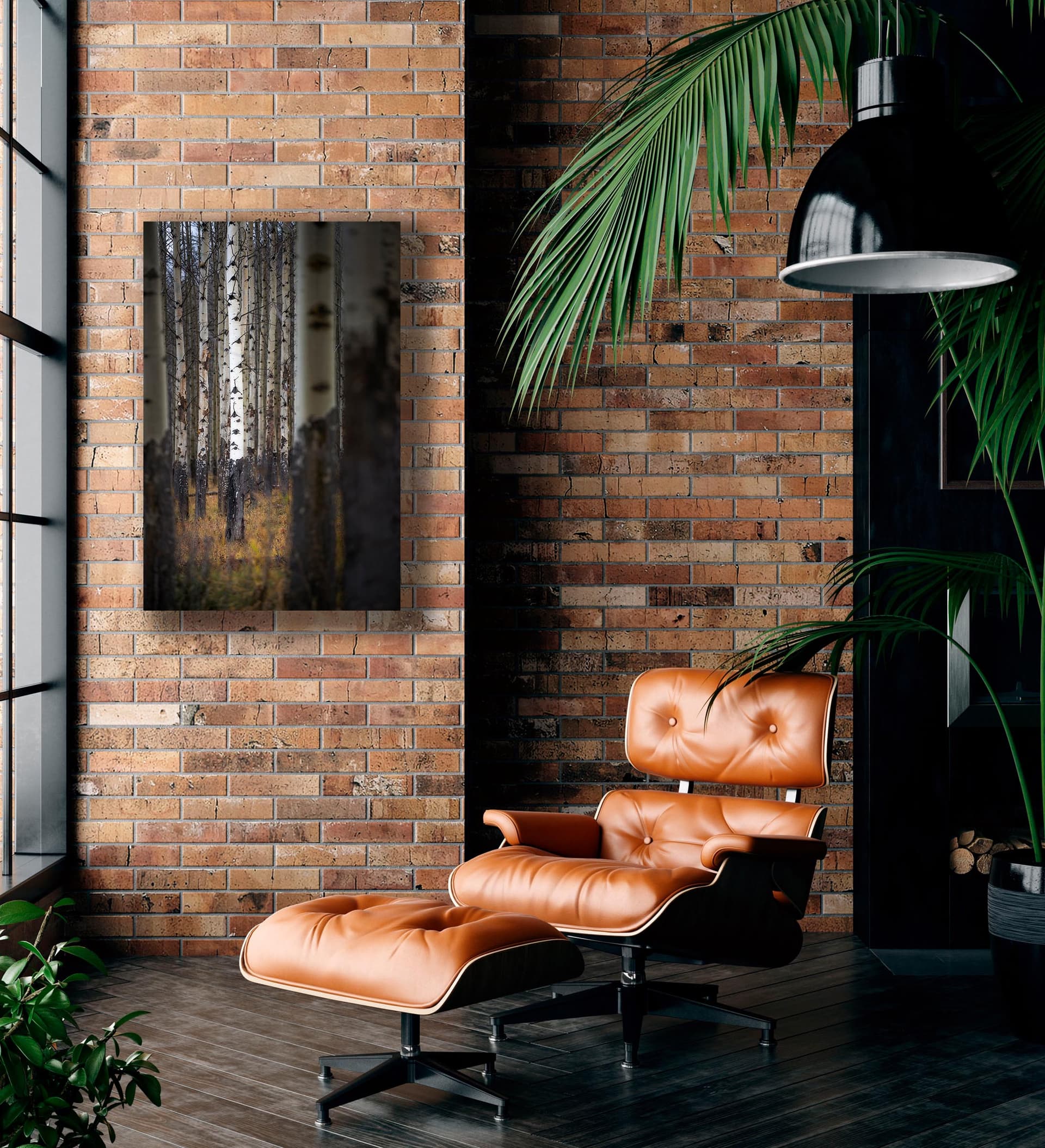 Wall art of Aspen Forest in Banff, Canada by Brent Goldman Photography