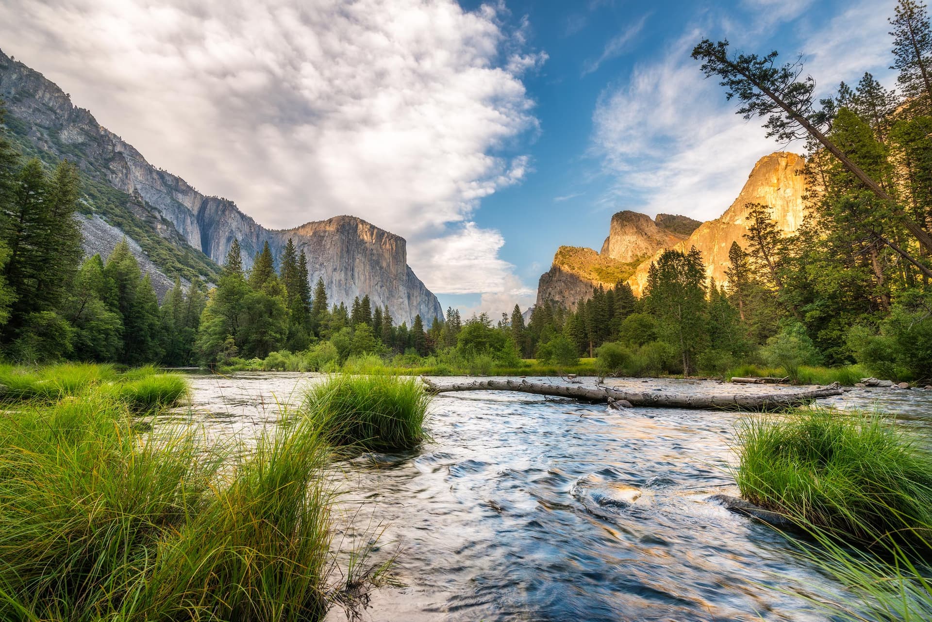 Photograph of Valley Floor in Yosemite, California by Brent Goldman Photography
