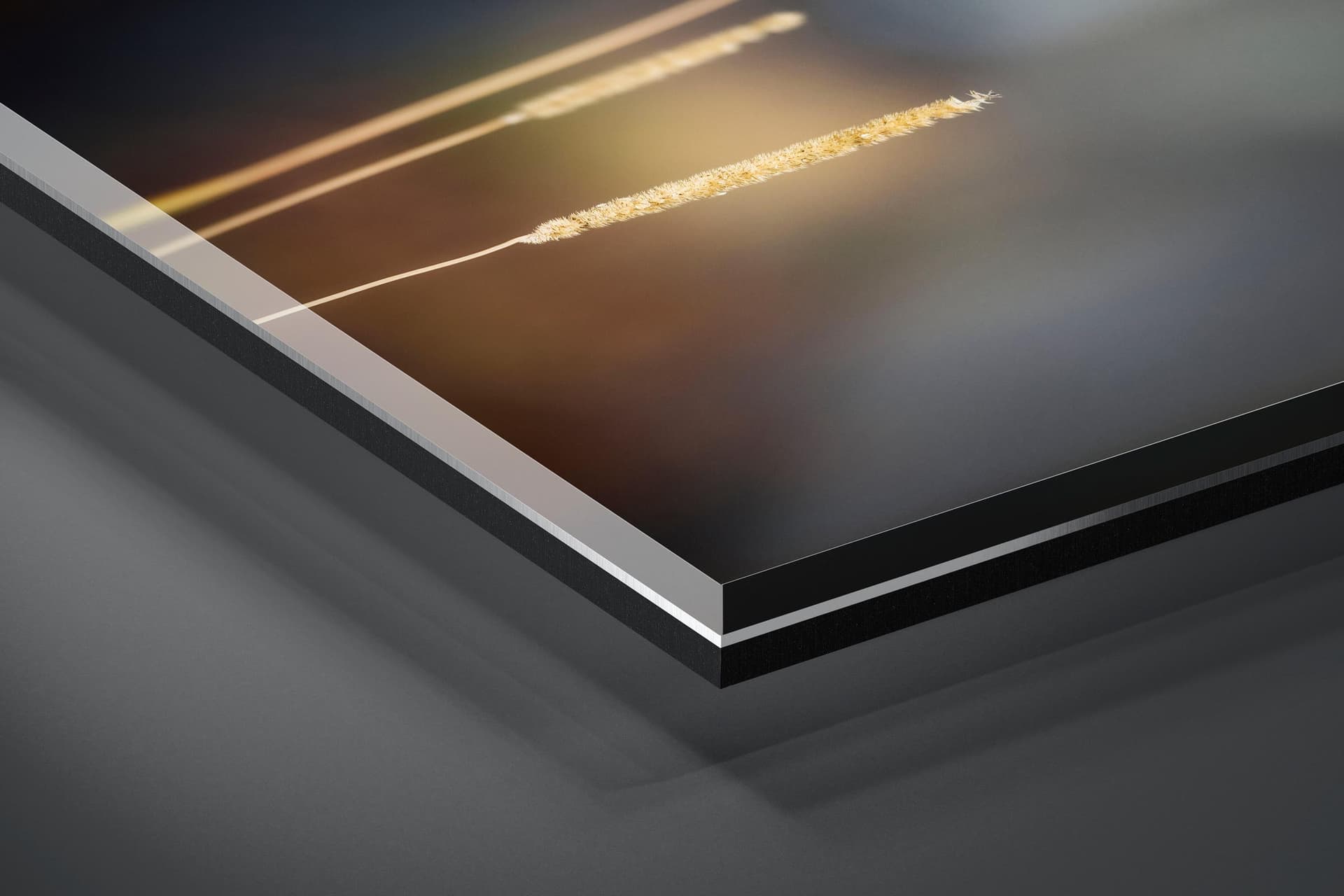 Fine art limited edition acrylic print of Grass Strands in Banff, Canada by Brent Goldman Photography