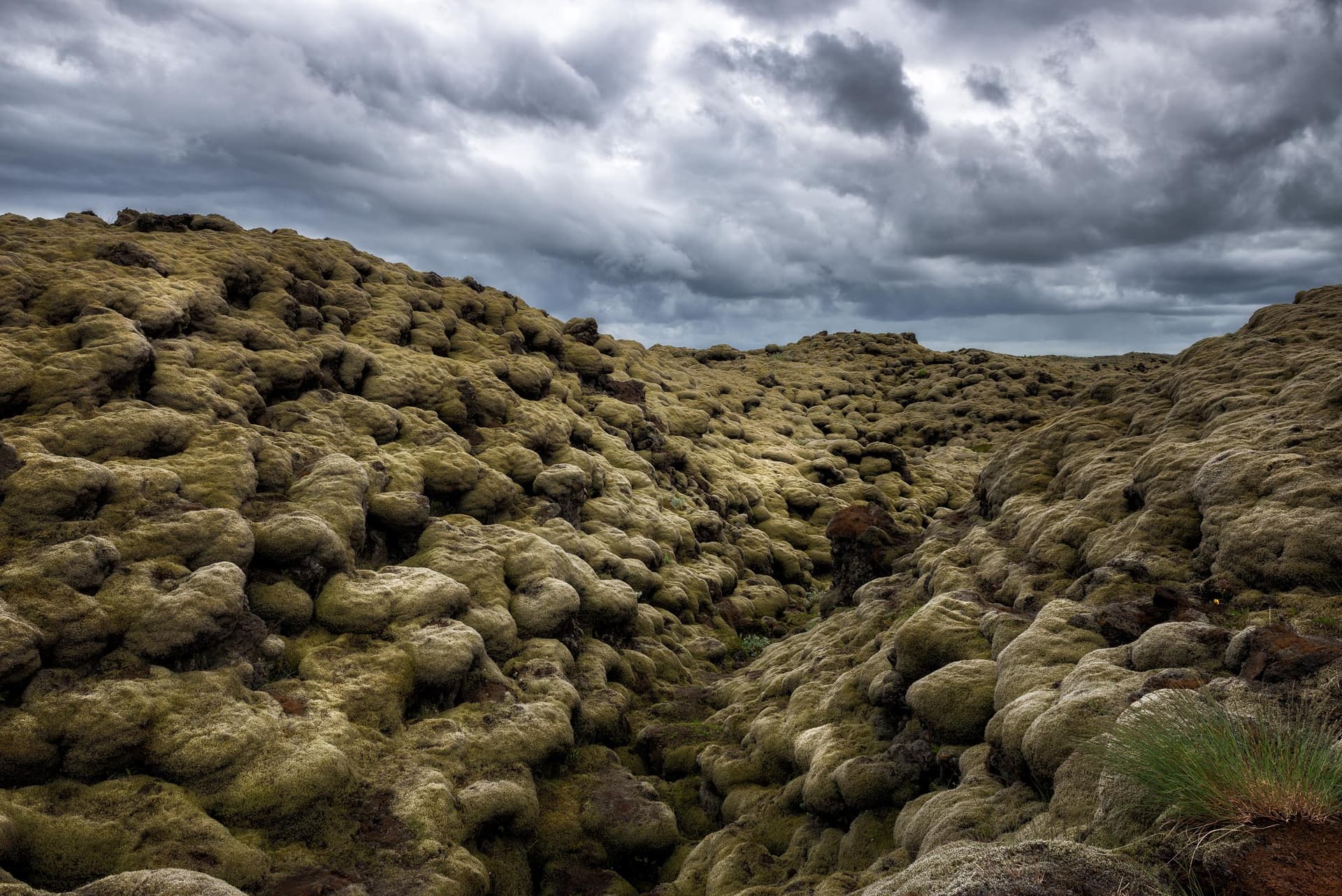 Photograph of Lava Field in Eldhraun, Iceland by Brent Goldman Photography