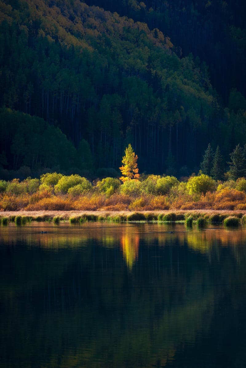 Photograph of Aspen Reflection in San Juan Mountains, Colorado by Brent Goldman Photography