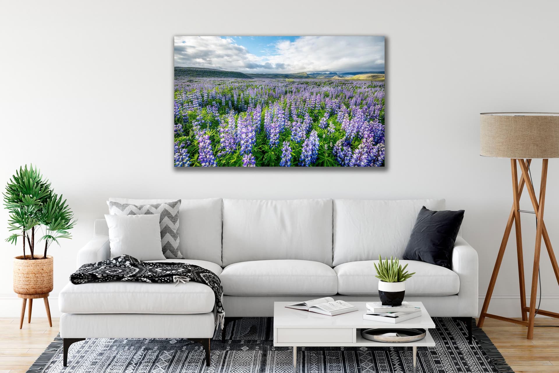 Wall art of Lupine Field in Ring Road, Iceland by Brent Goldman Photography