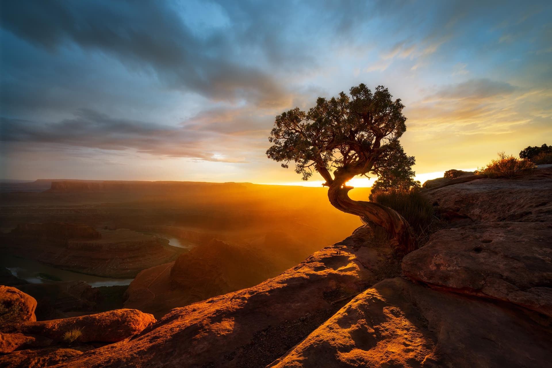 Photograph of Dead Horse in Dead Horse Point, Utah by Brent Goldman Photography