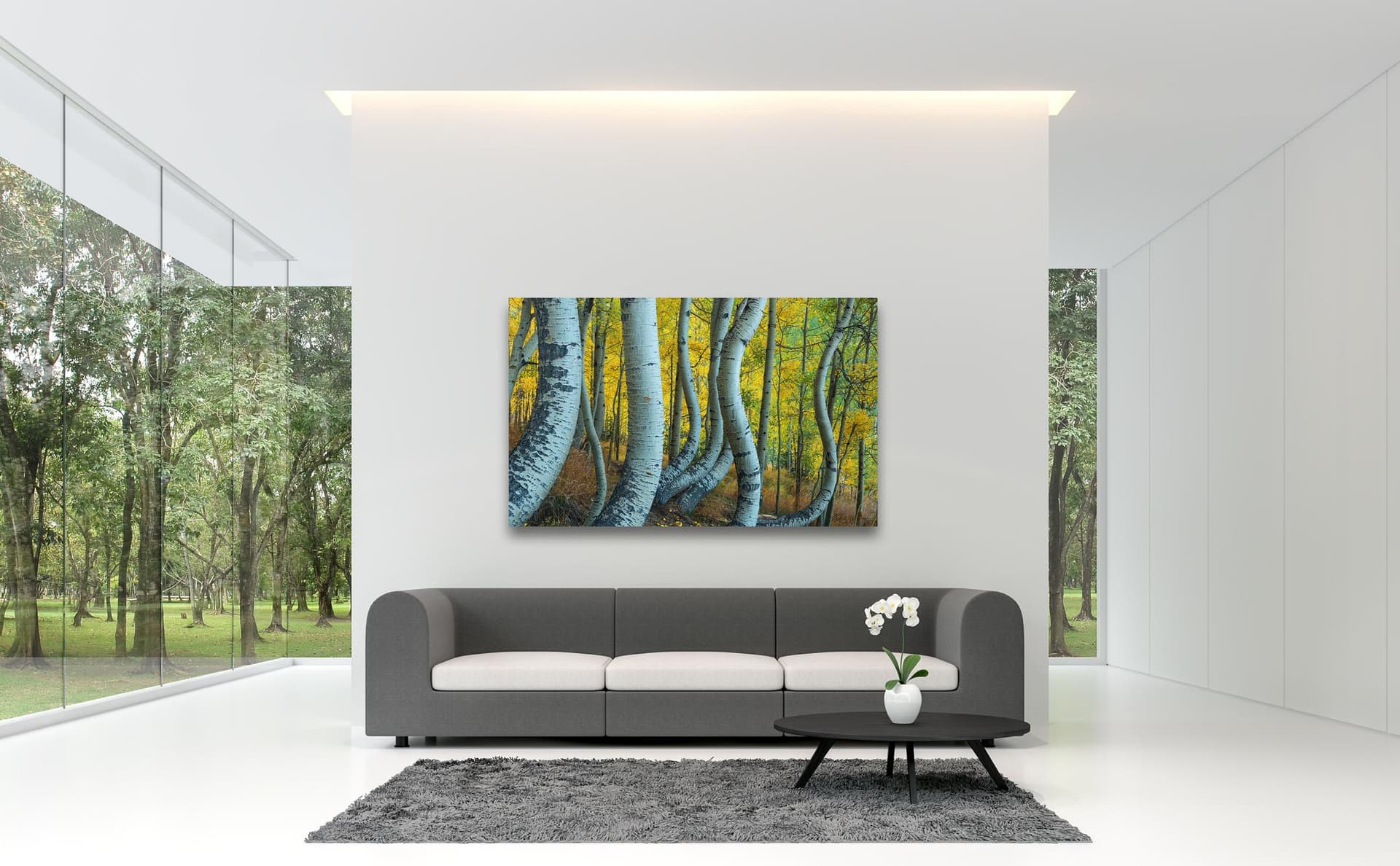 Wall art of Bent Aspens in San Juan Mountains, Colorado by Brent Goldman Photography