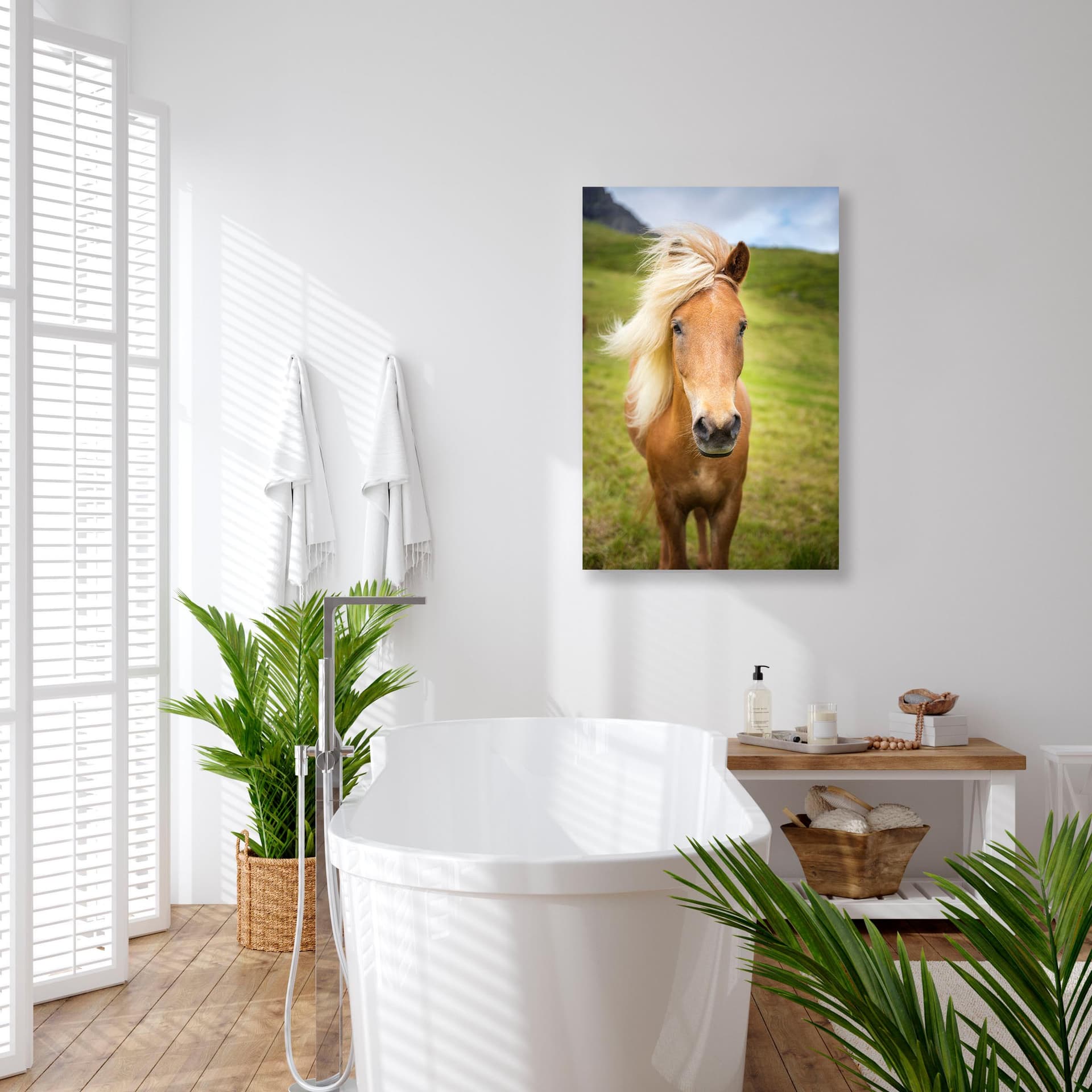 Wall art of Horse in Gasadalur, Faroe Islands by Brent Goldman Photography