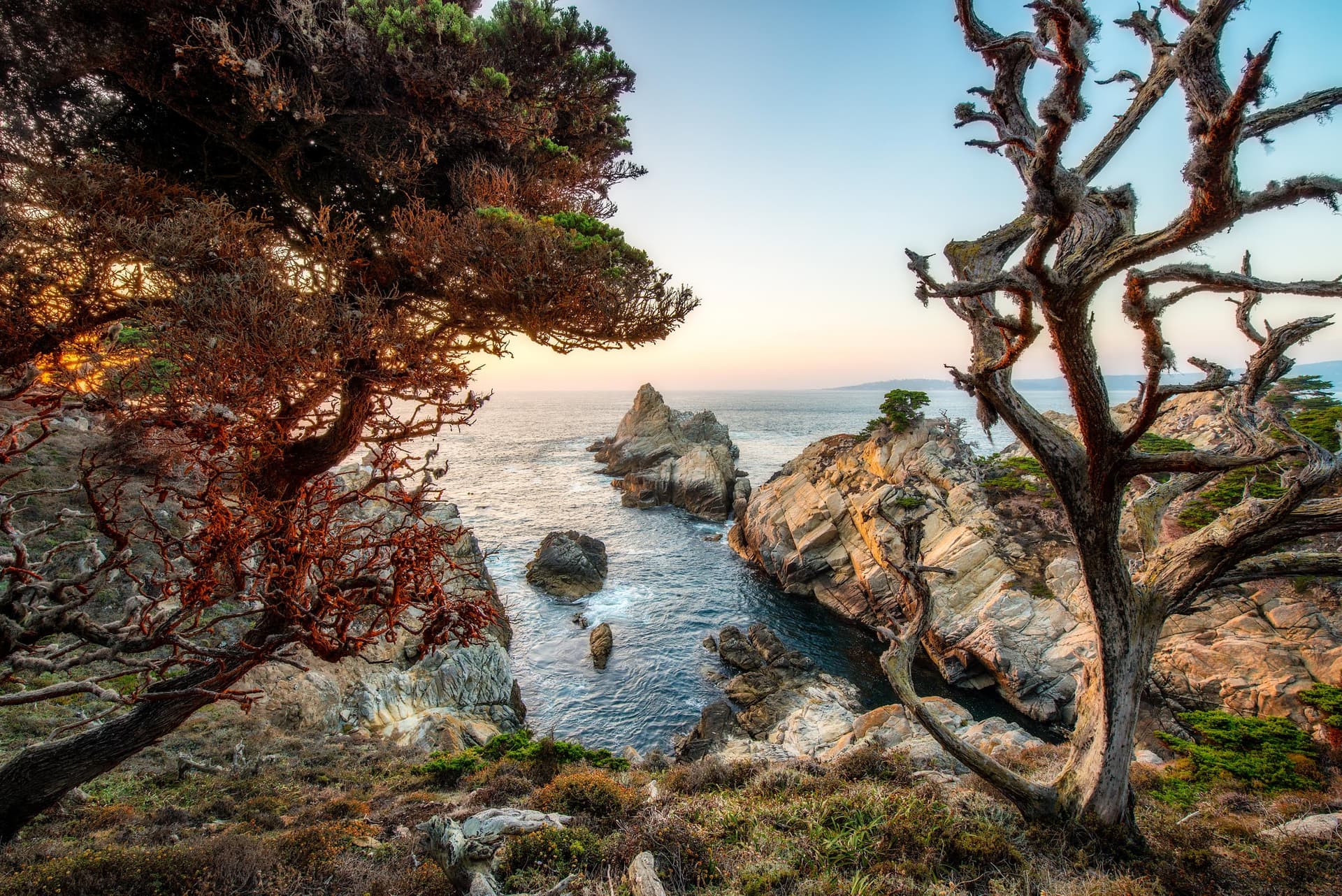 Photograph of Point Lobos in Carmel, California by Brent Goldman Photography