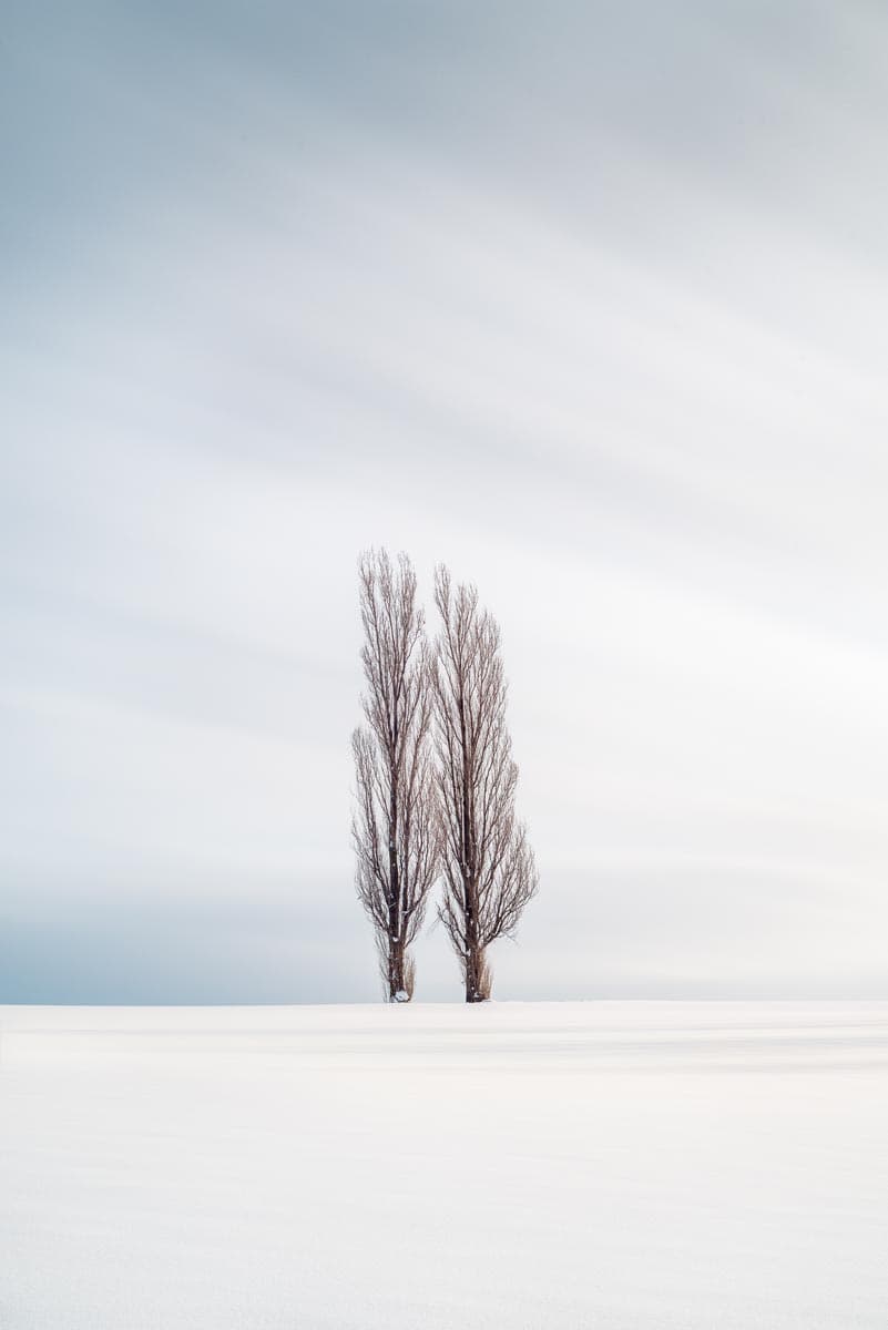 Symmetry