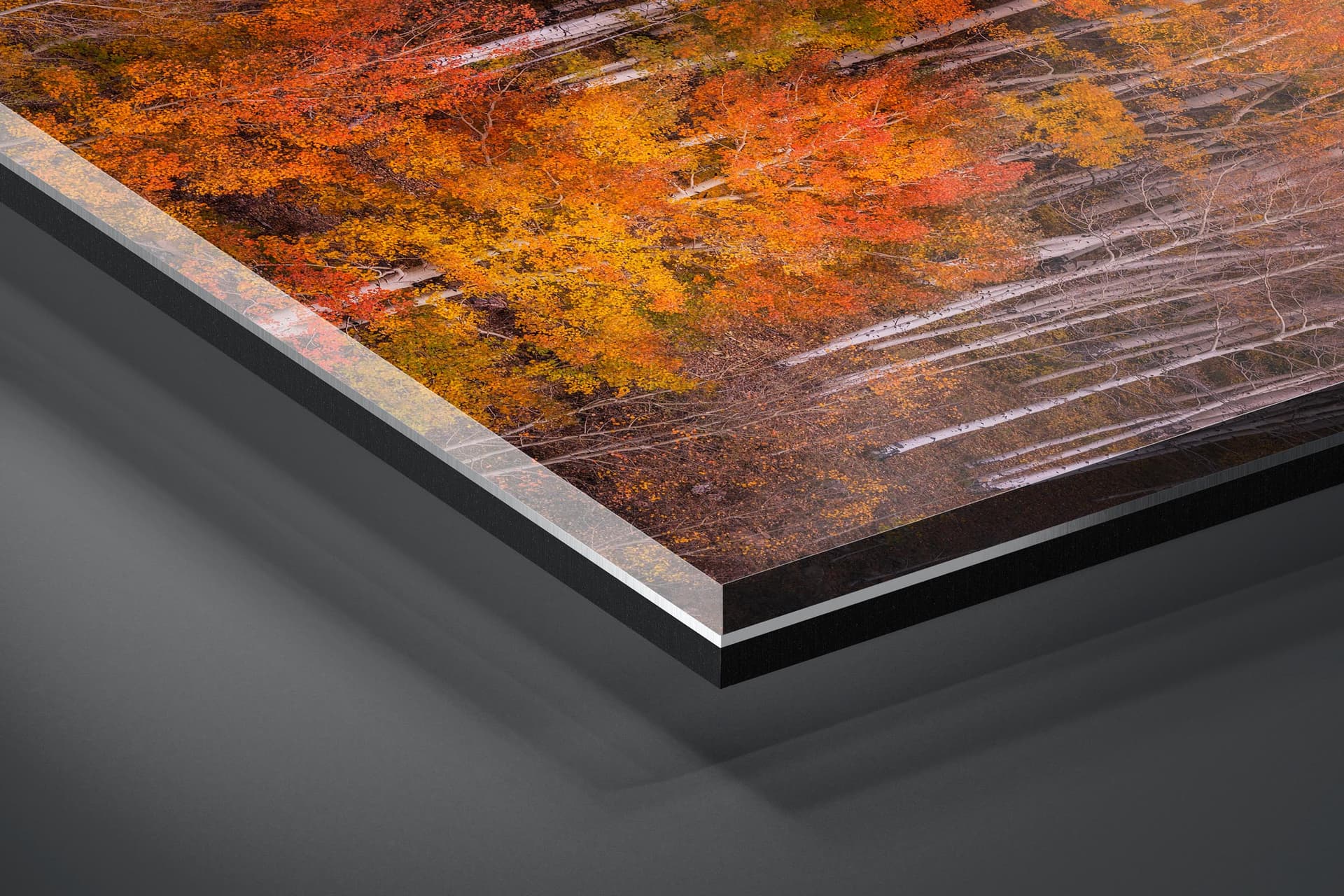 Fine art limited edition acrylic print of Aspens in San Juan Mountains, Colorado by Brent Goldman Photography