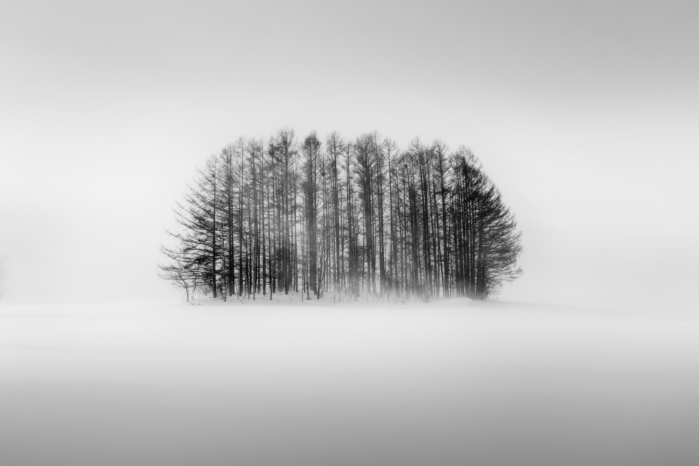 Whiteout