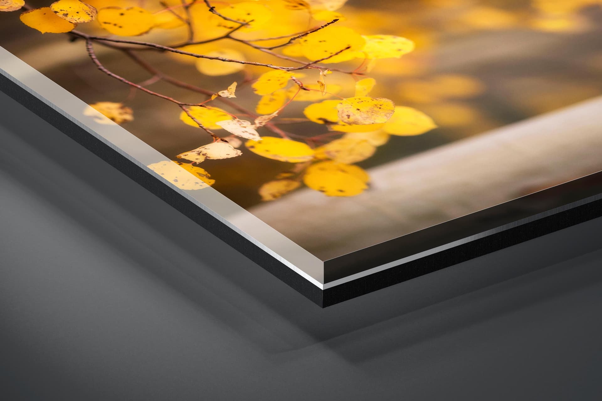 Fine art limited edition acrylic print of Aspen Leaves in Aspen, Colorado by Brent Goldman Photography