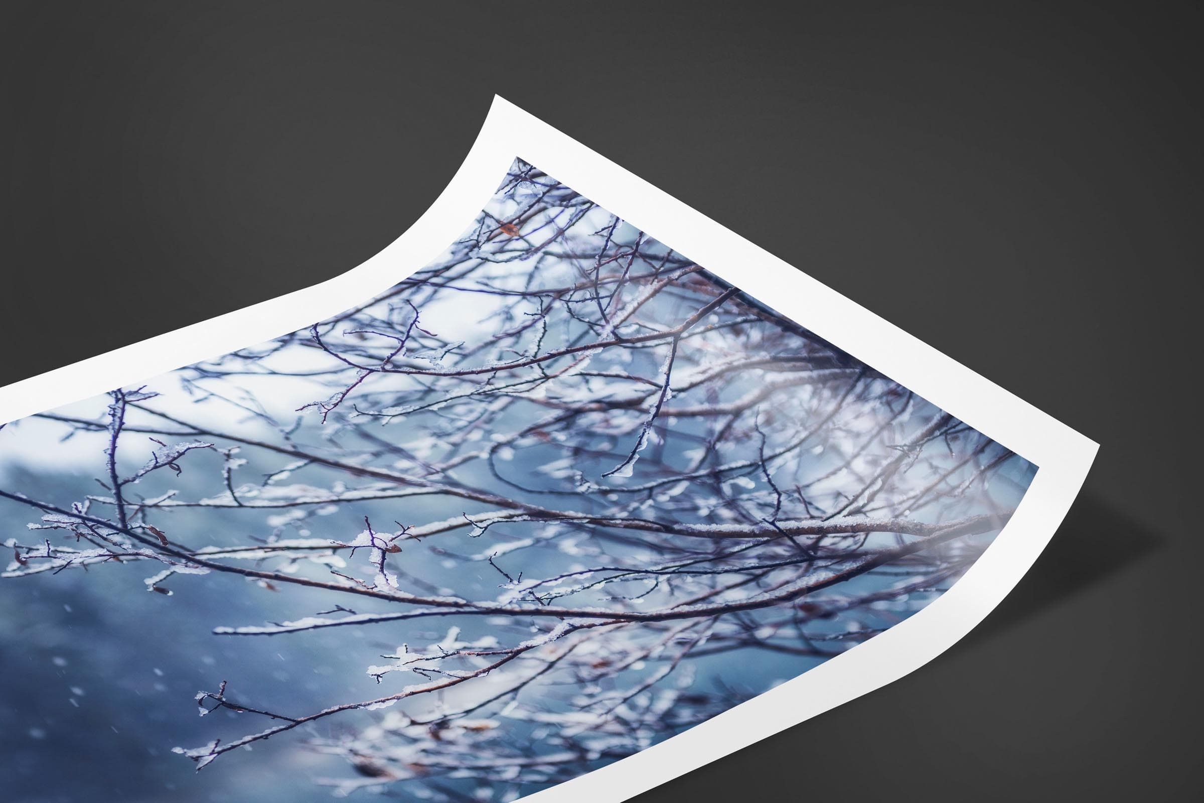 Fine art limited edition print of Winter Wonderland in Banff, Canada by Brent Goldman Photography