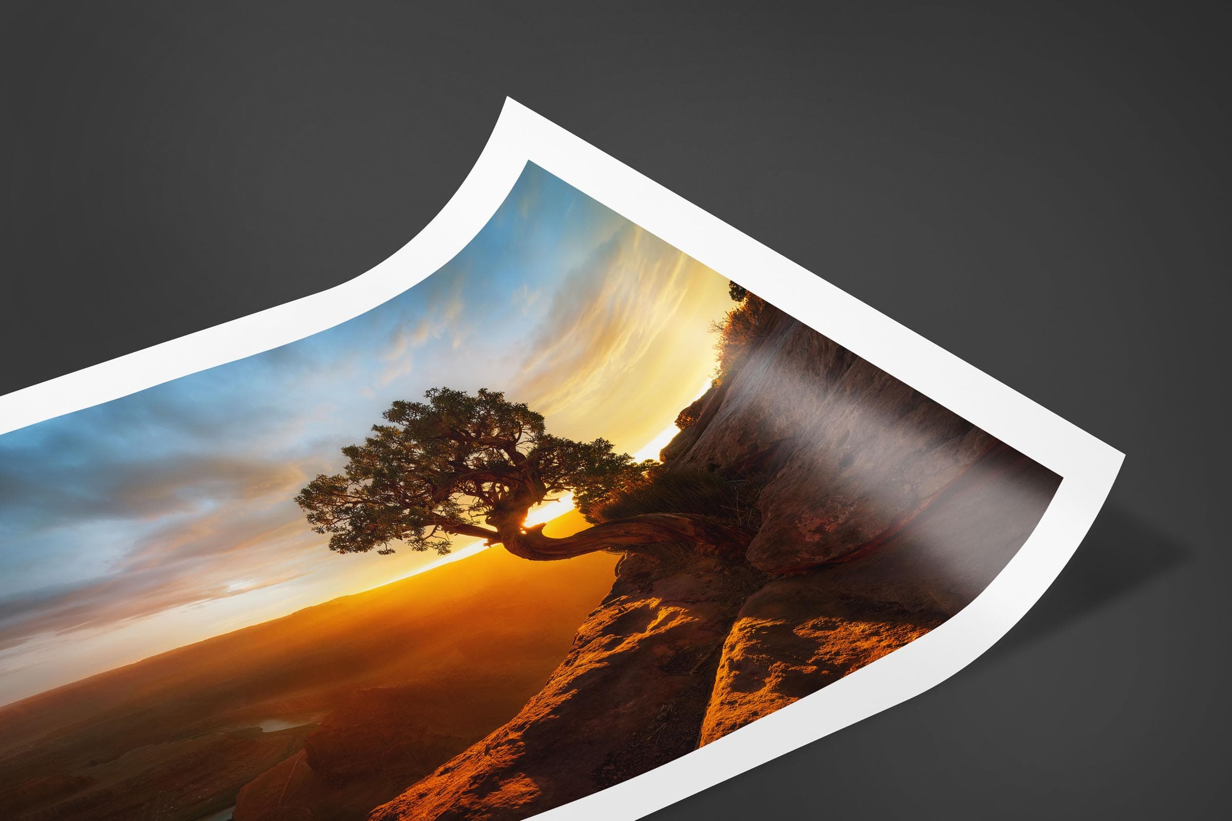 Fine art limited edition print of Dead Horse in Dead Horse Point, Utah by Brent Goldman Photography