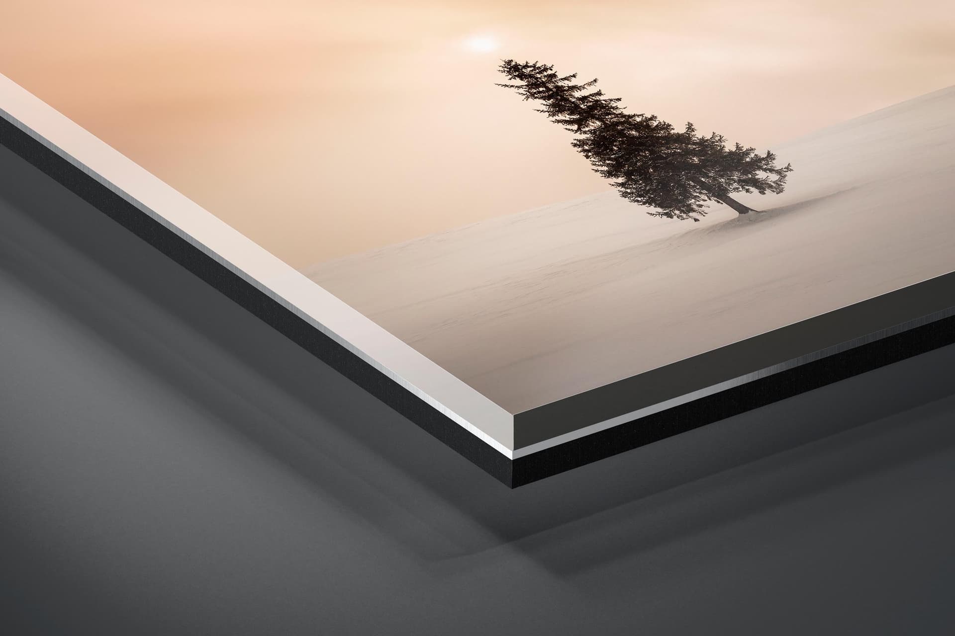 Fine art limited edition acrylic print of Christmas Tree in Biei, Japan by Brent Goldman Photography