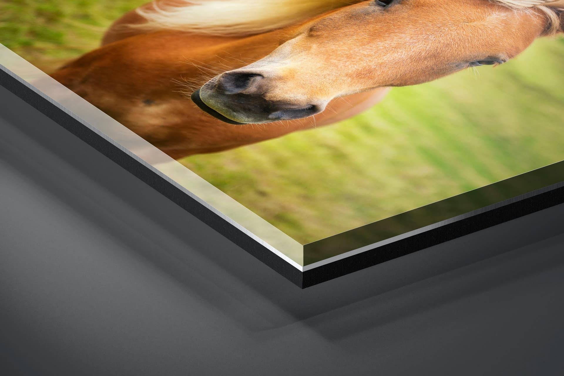 Fine art limited edition acrylic print of Horse in Gasadalur, Faroe Islands by Brent Goldman Photography