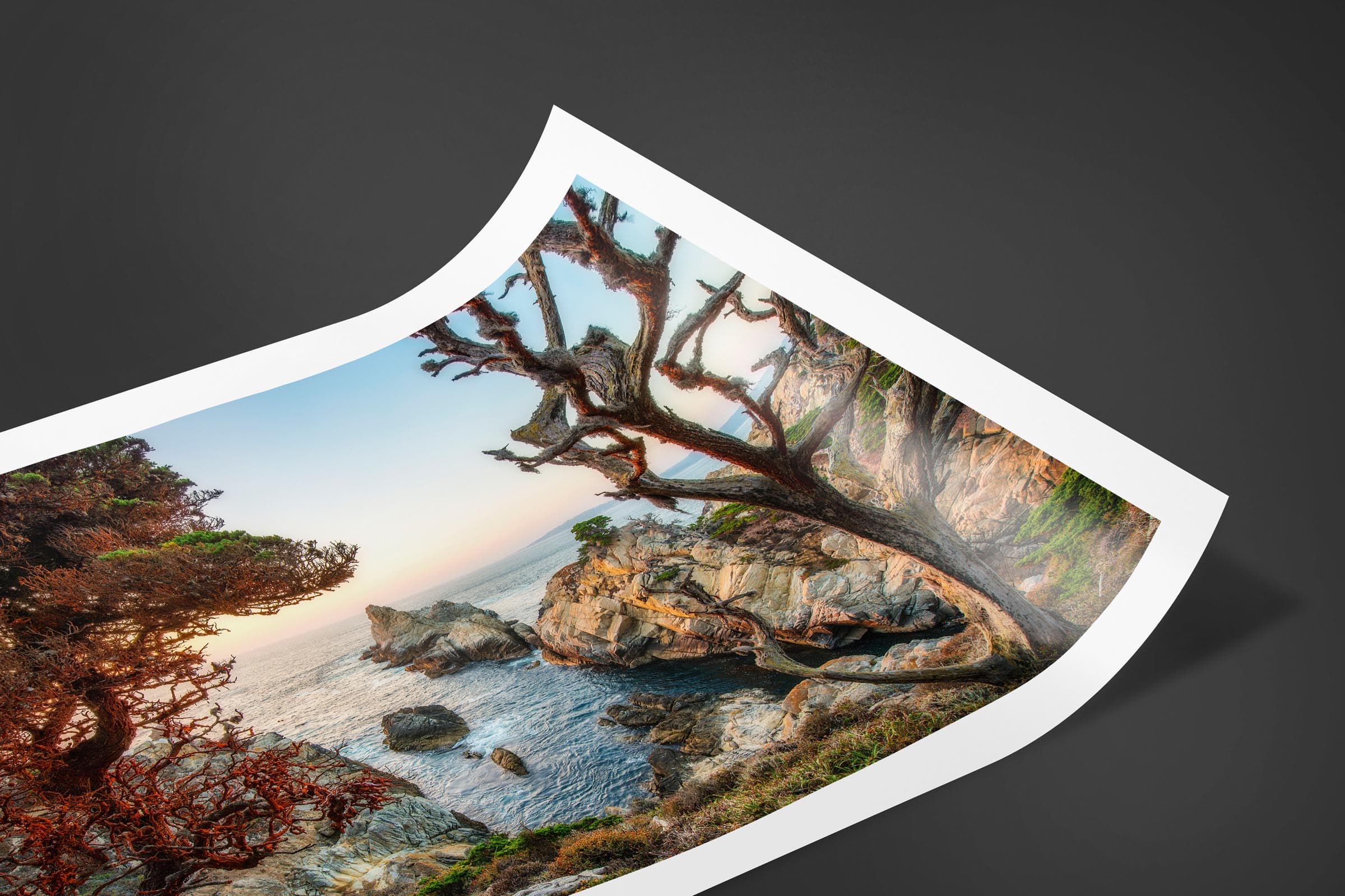 Fine art limited edition print of Point Lobos in Carmel, California by Brent Goldman Photography