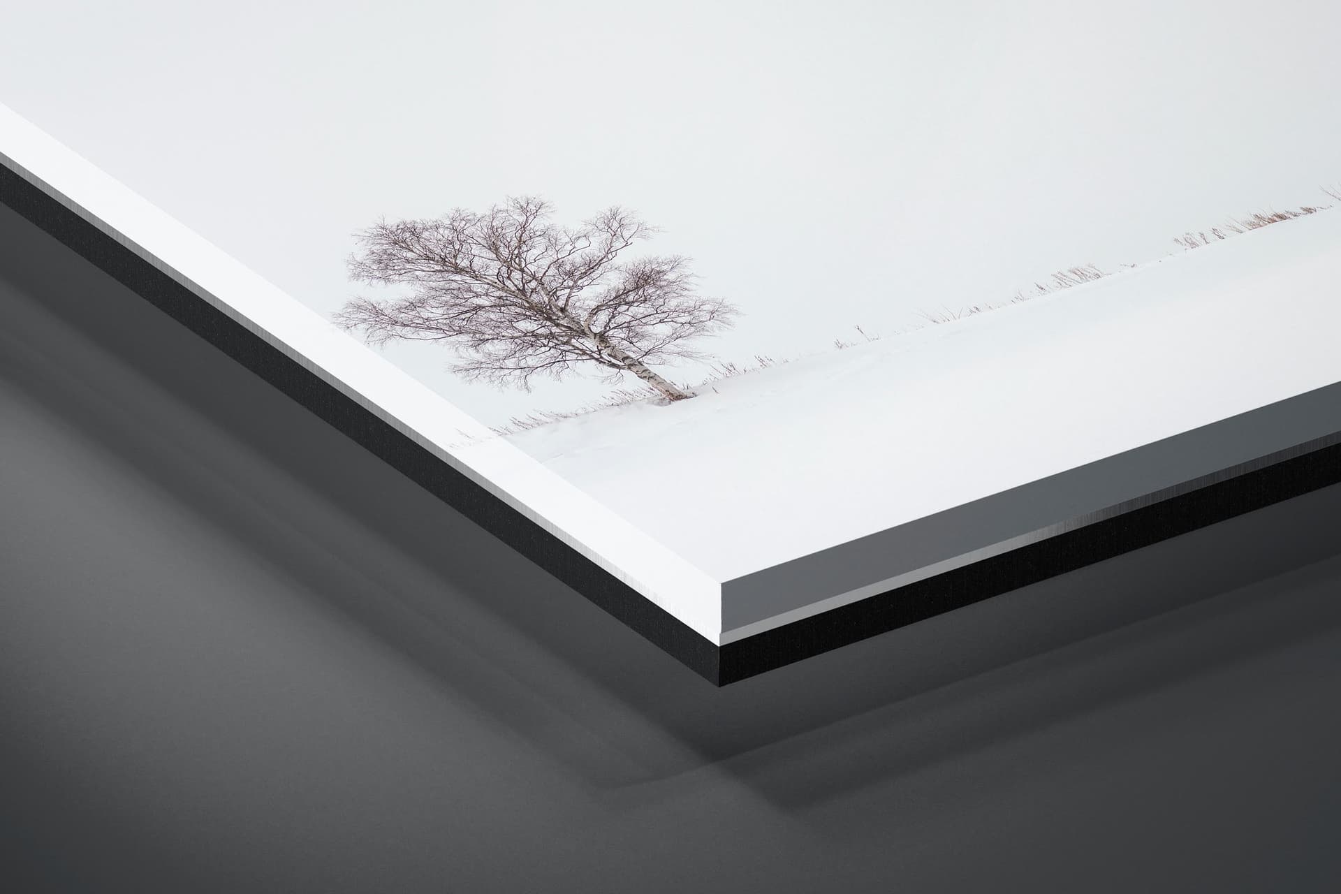 Fine art limited edition acrylic print of Lone Tree in Hokkaido, Japan by Brent Goldman Photography