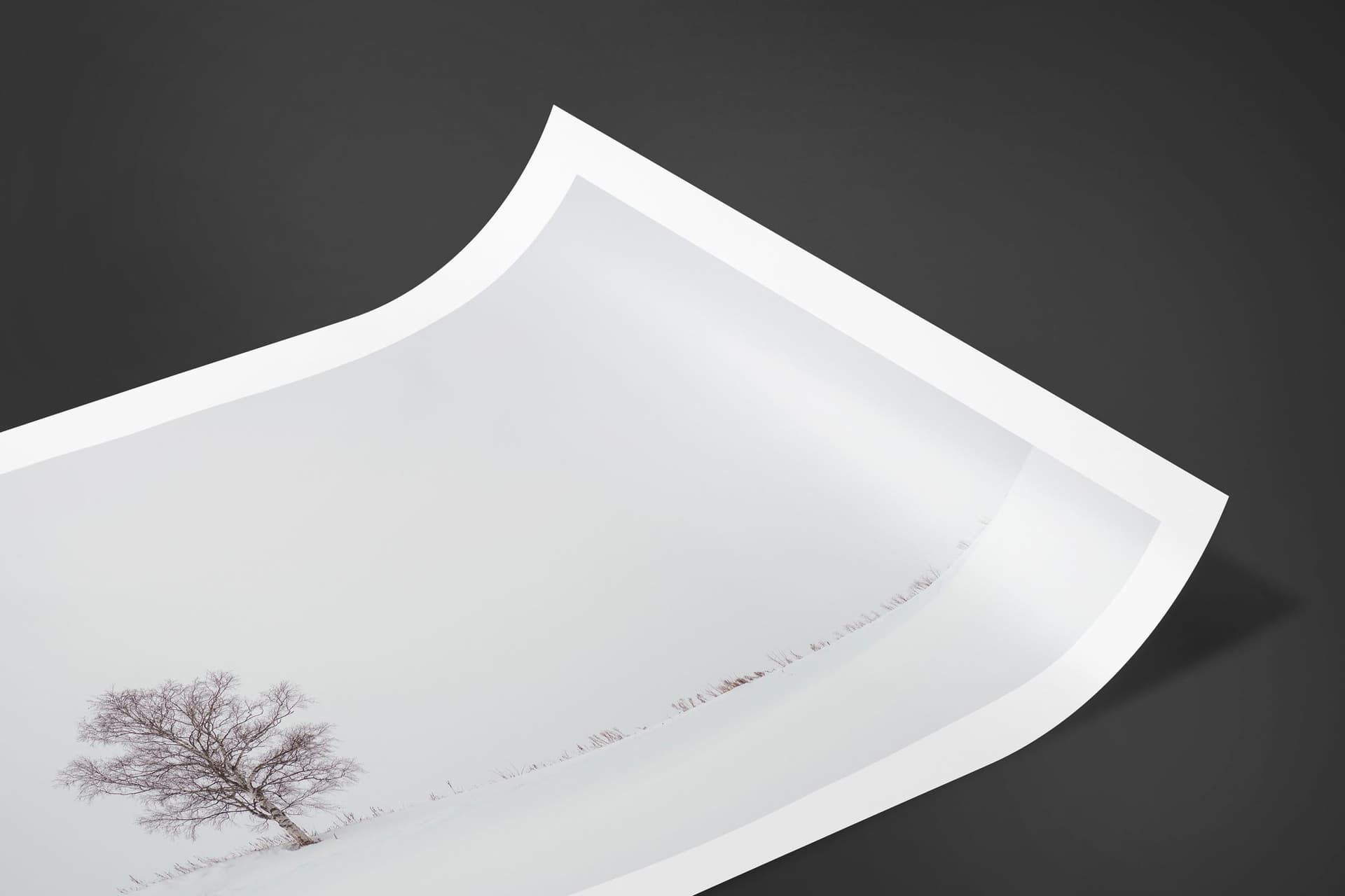 Fine art limited edition print of Lone Tree in Hokkaido, Japan by Brent Goldman Photography